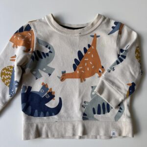 Orange & blue dinosaurs printed sweatshirt