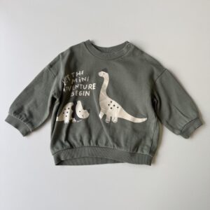 Green sweatshirt (fleece lined)